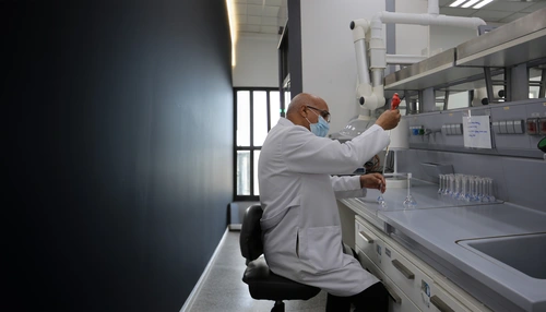 Novartis Egypt