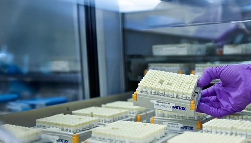 Novartis România