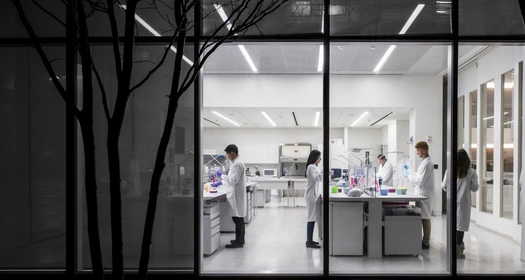 Novartis Türkiye
