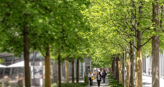 Ons ESG-engagement